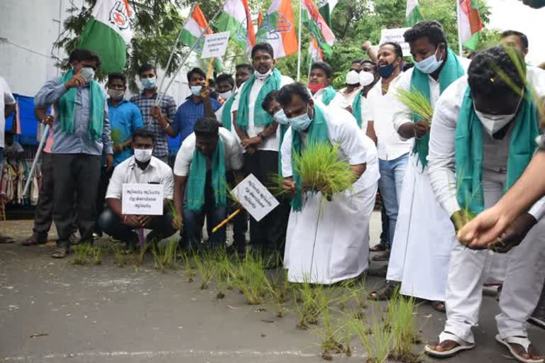  புதுச்சேரியில் வேளாண் மசோதாவை கண்டித்து   இளைஞர் காங்கிரசார் போராட்டம் 