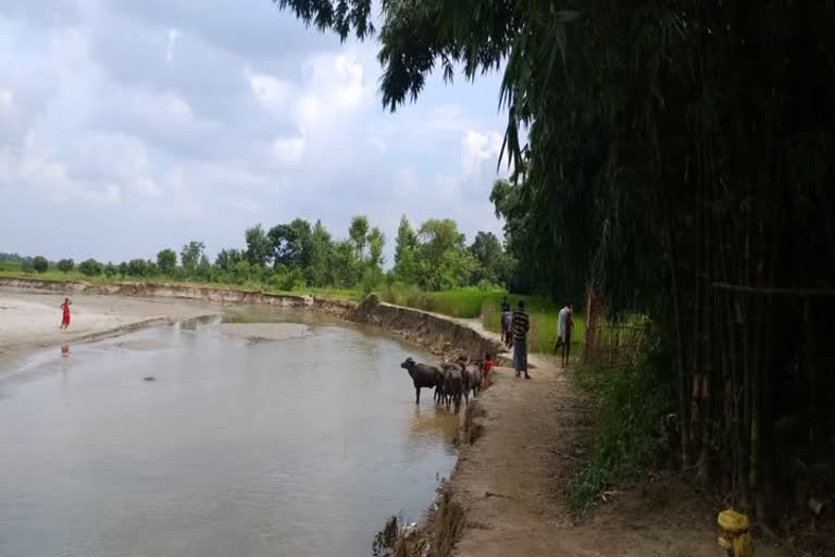 Ganguly river erosion