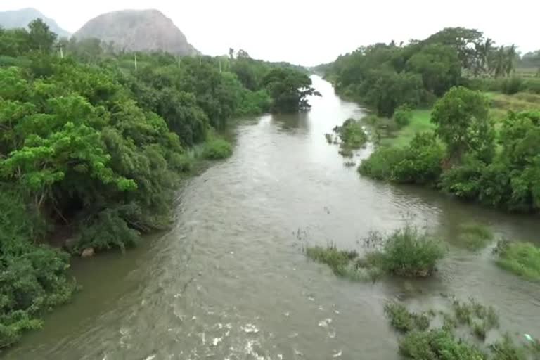 கனமழை காரணமாக அமராவதி அணையில் நீர்வரத்து அதிகரிப்பு