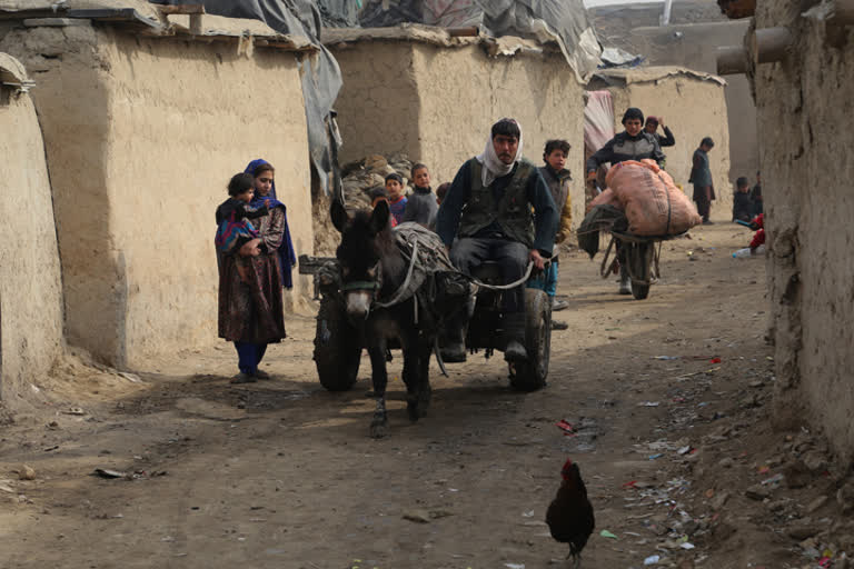 Children of afghanistan during COVID-19