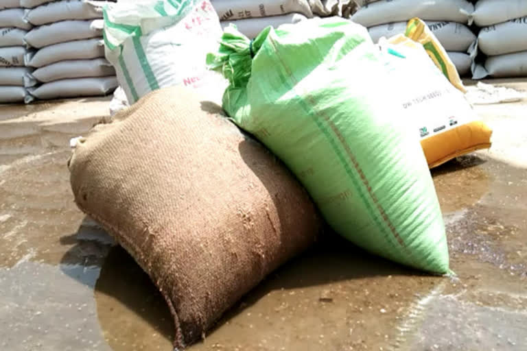 grains kept in mandi market spoiled in bhiwani 