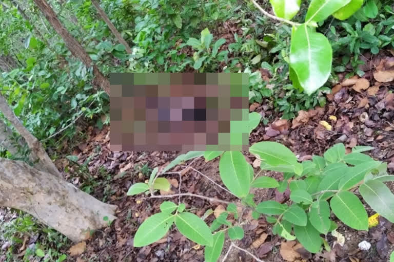 two-killed-one-injured-in-bear-attack-in-odisha