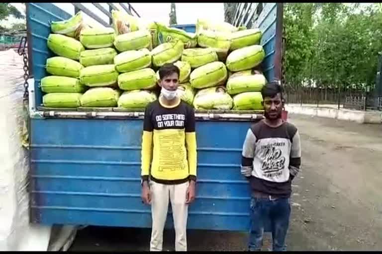 Tobacco seized yavatmal