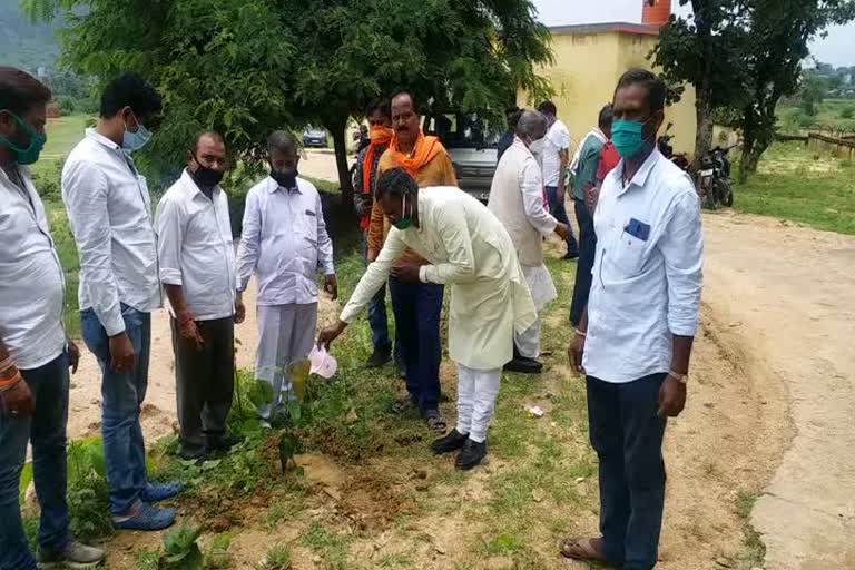 BJP leaders did plantation in latehar