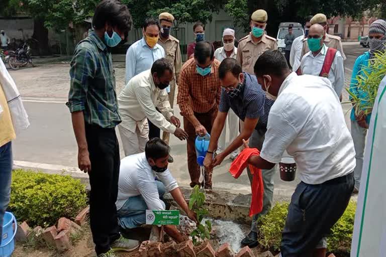 पौधरोपण करते अधिकारी