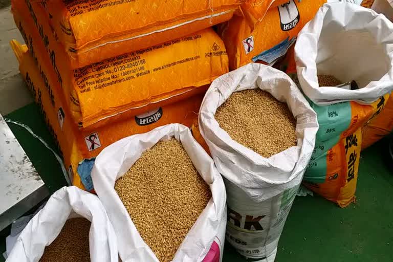 PACS behind buying wheat from farmers in Samastipur