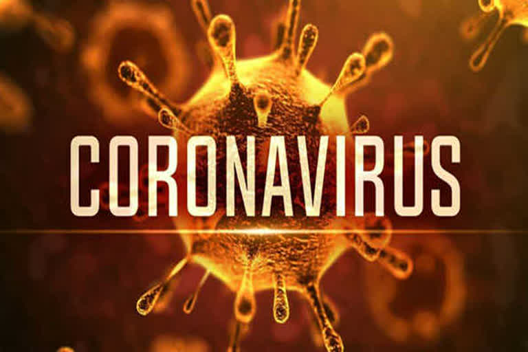 corona virus 