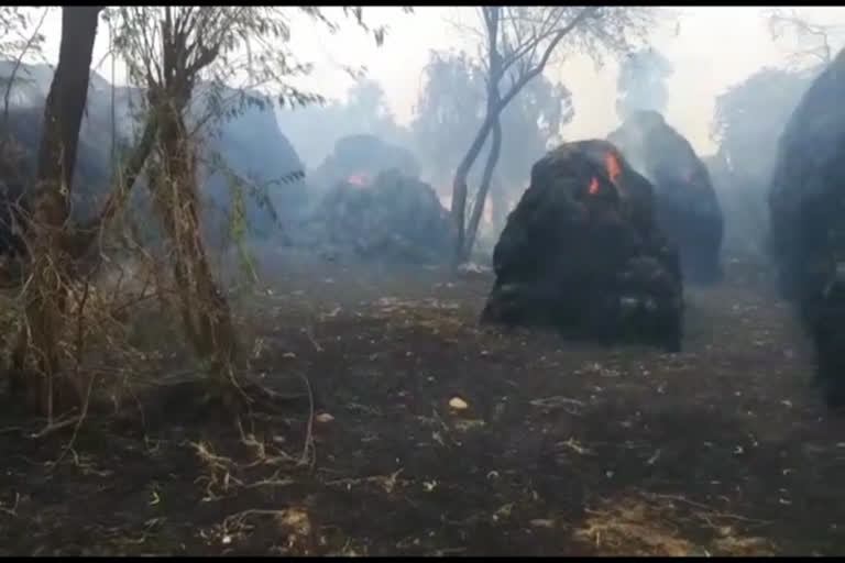 అగ్నికి ఆహుతైన 20 గడ్డివాములు