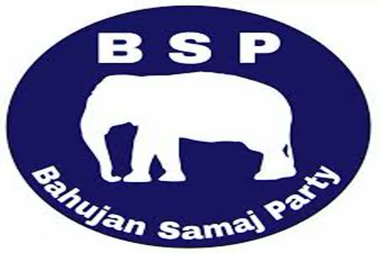 Bsp