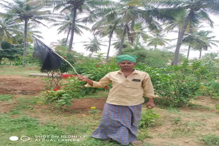 ಕಪ್ಪು ಬಾವುಟ ಪ್ರದರ್ಶನ 