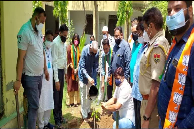 tree plantation, BJP Minority Front, Bhilwara 