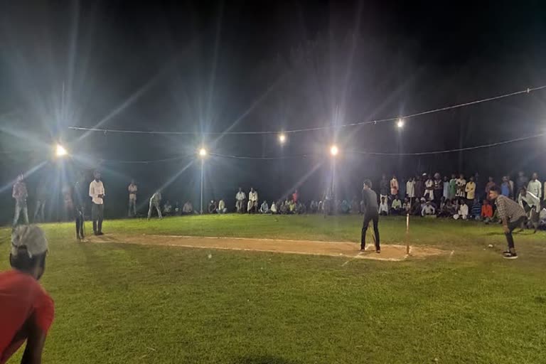 Organized night cricket