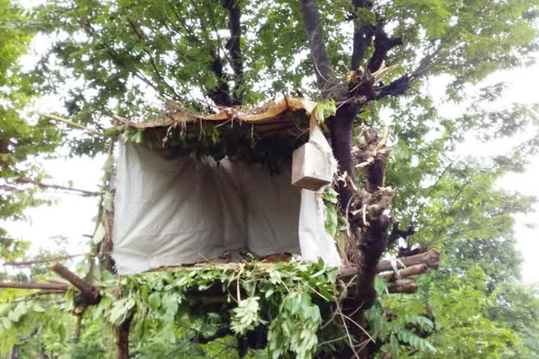 farmers seat at tree in dhebewadi area