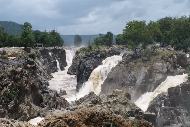 cauvery water