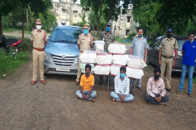 cannabis seized in Telangana