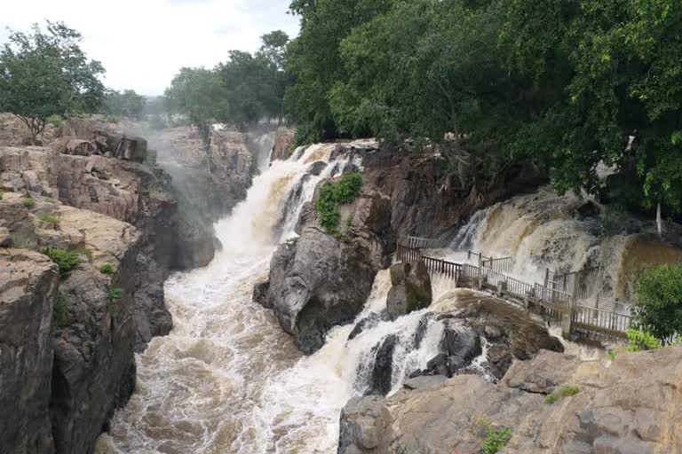 The flow of water from Karnataka to Hogenakkal was reduced to eight thousand cubic feet.