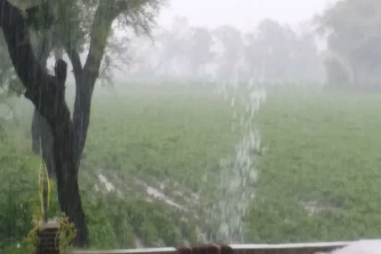 Heavy rain in Mandsaur district after long wait