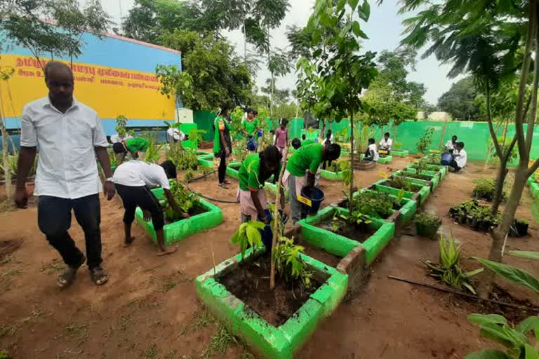 பள்ளி வளாகத்தில் மருத்துவ மூலிகை செடிகளை வளர்க்கும் அரசுப்பள்ளி மாணவர்கள்!