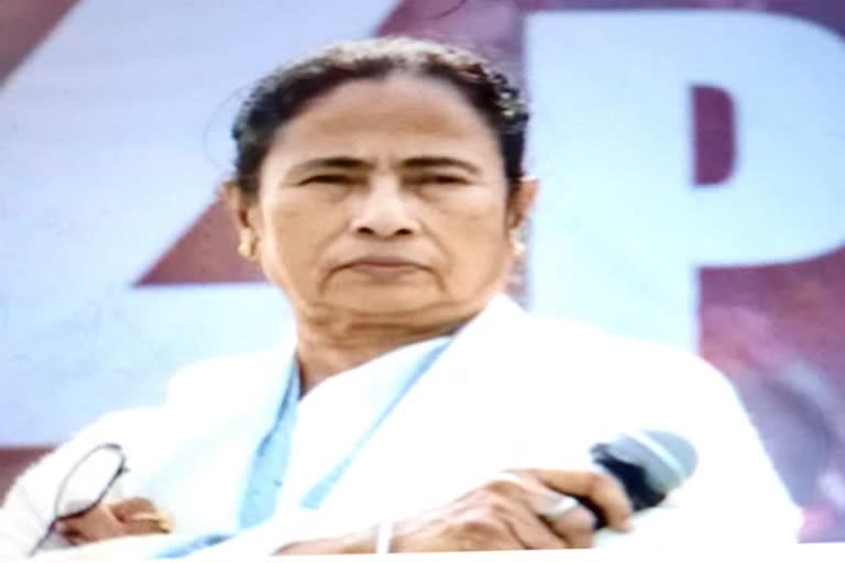 Mamta