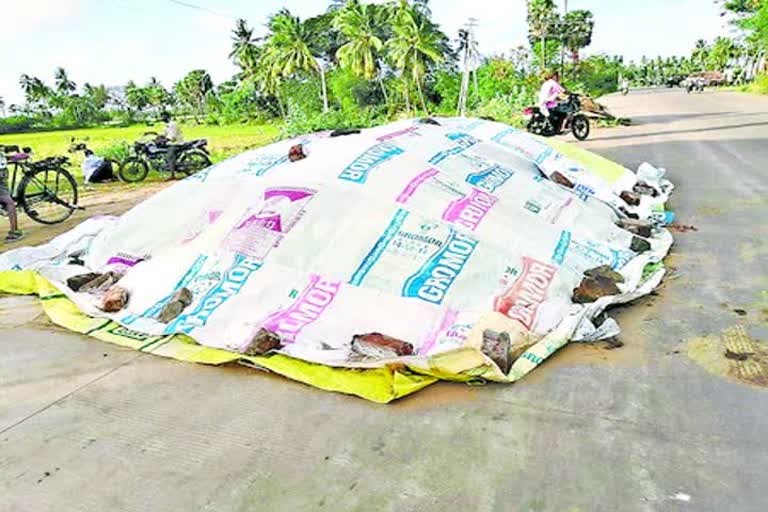 ధాన్యం తడవకుండా ఇలా..