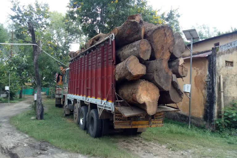 देवास में चेकिंग के दौरान लकड़ी जब्त