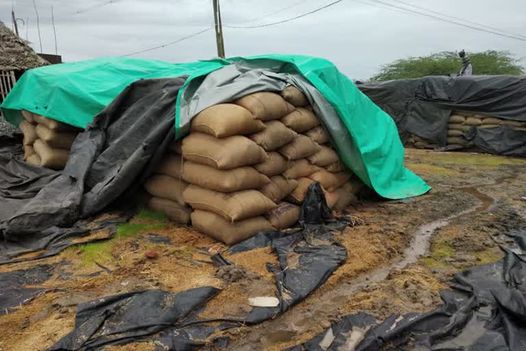 திருவாரூரில் 5 ஆயிரத்திற்கும் மேற்பட்ட நெல் மூட்டைகள் மழையில் நனைந்து சேதம்