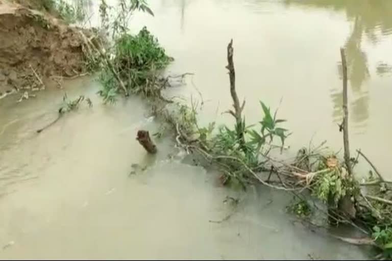 450 bigha crop submerged in basit