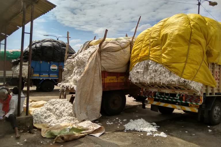 Pandhurna Agricultural Produce Market