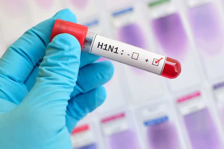 New Swine Flu With Pandemic Potential Discovered In China