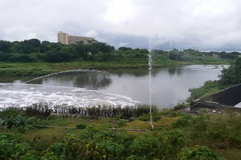 Godavari River