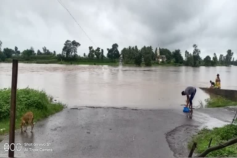 heavy rains in chandoli dam area in sangl
