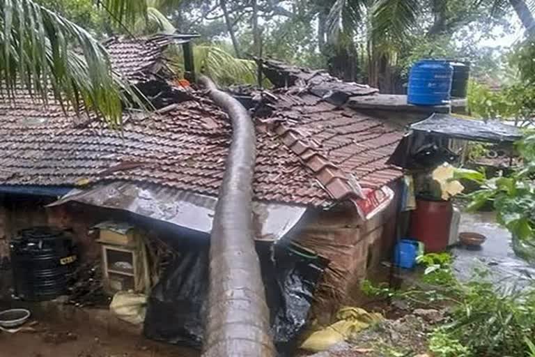 nisarga cyclone effect sindhudurg