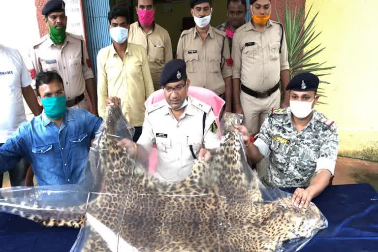 Leopard skin seized in Gariaband