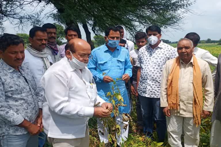 agriculture officers during inspection