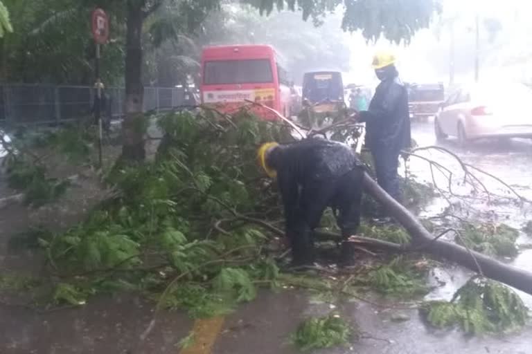 Heavy rain in thane