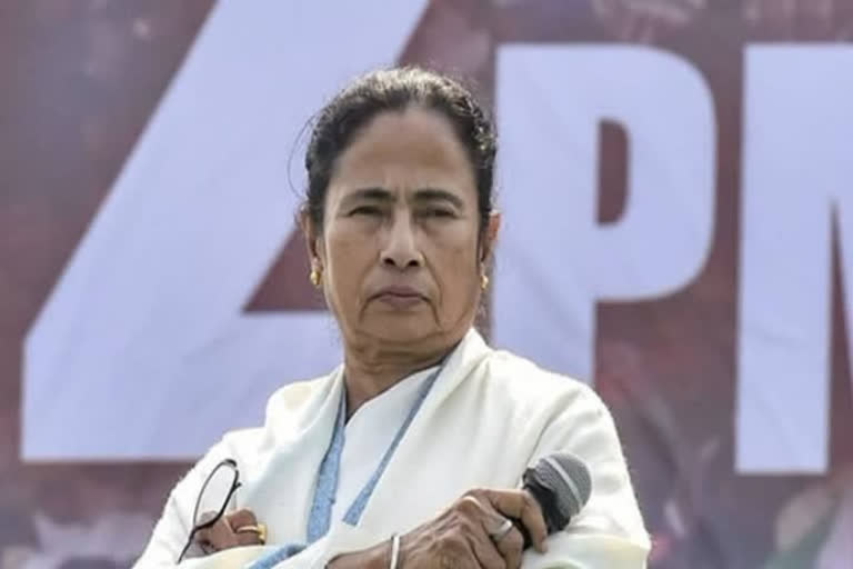 Mamta