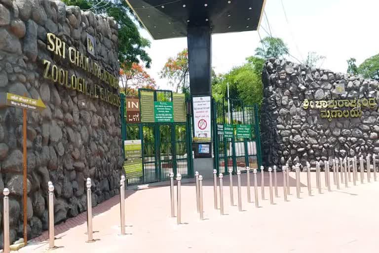 Mysore zoo