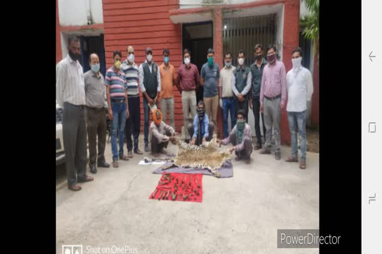 Three hunters with leopard skins arrested in Jabalpur