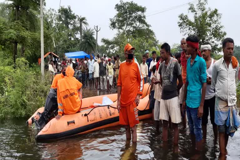 death due to drowning in flood water