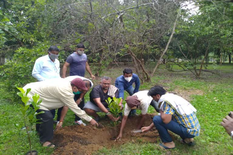 BJP three-days tree planting program started in ranchi