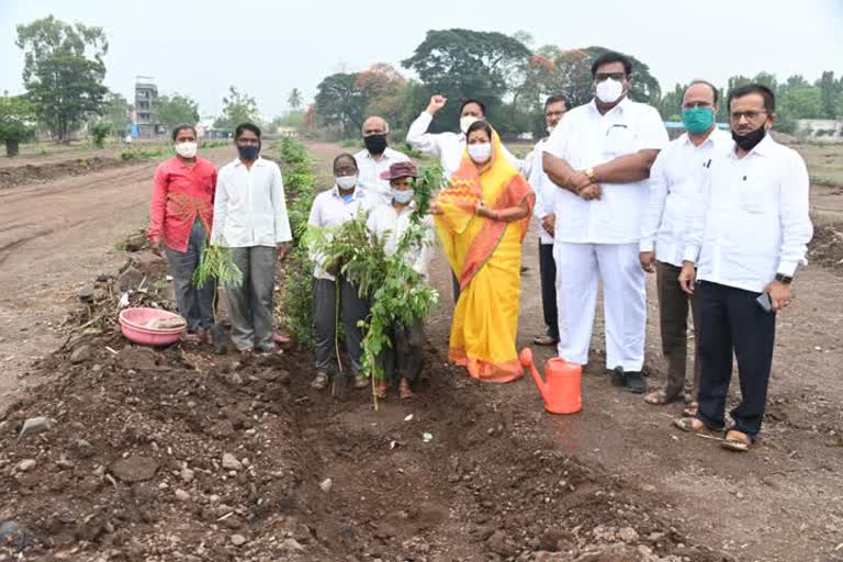 जागतिक पर्यावरण दिनानिमित्त थोरात कारखान्यावर 501 वृक्षांचे रोपण