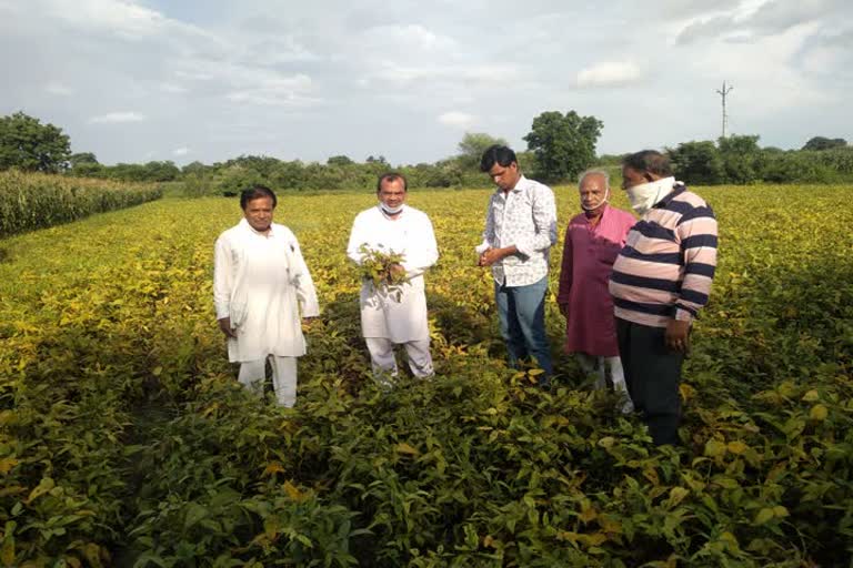 District President Rajkumar Ahir took stock of the crops