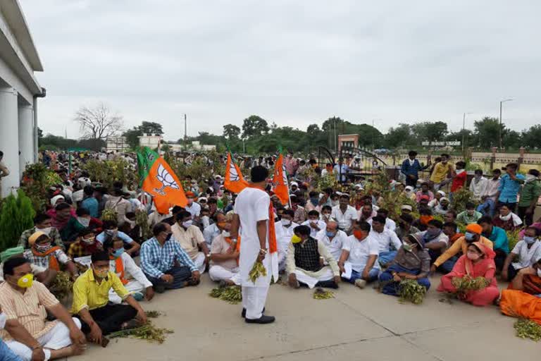 BJP movement led by former MLAs; Demand for survey and compensation by protesting at collector office in Alirajpur