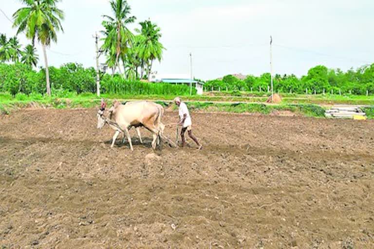 plans for kharif cultivation in Chittoor district