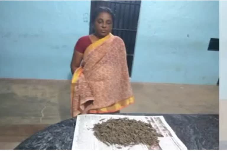 Cannabis selling in kanyakumari