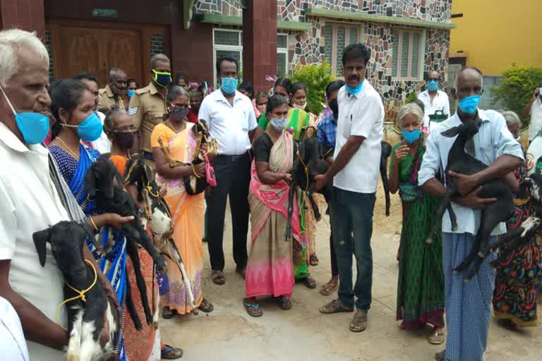 Director PT SelvaKumar distributed free rice and lambs to the women on the occasion of Vijay's birthday at Kanyakumari