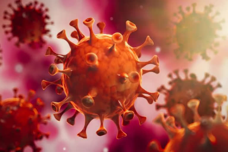 UP records highest 113 fresh coronavirus deaths