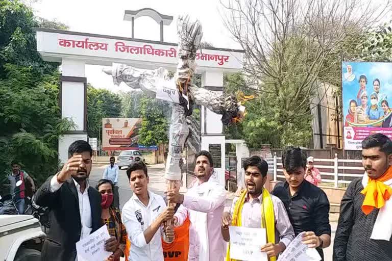 abvp burnt effigy of uddhav thackeray in sultanpur