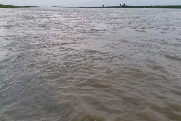 water level increase of gandak river due to water released from Balmiki Nagar Barrage