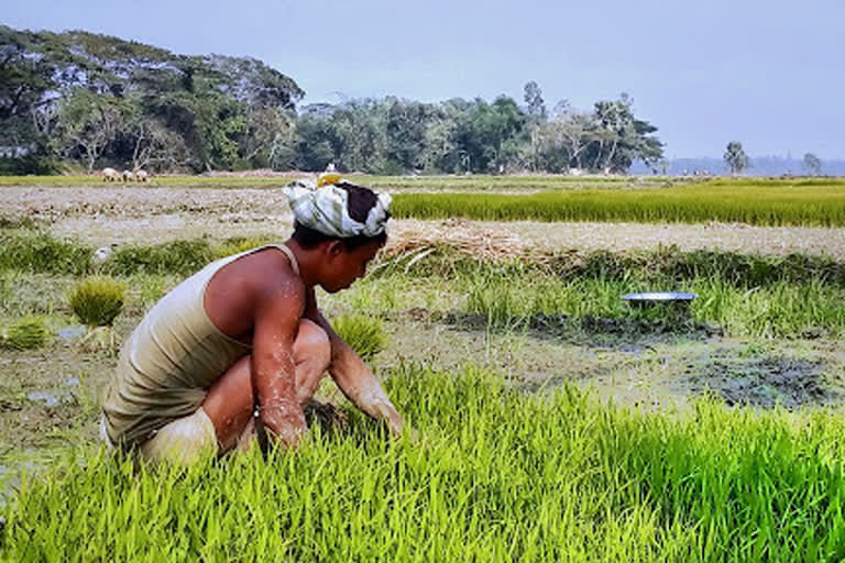 வேளாண் சட்டமுன்வடிவுகள் : இரட்டை நிலைப்பாட்டில் இருக்கிறதா மகாராஷ்டிரா கூட்டணி அரசு!